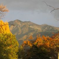 Scott Poole Photo 11