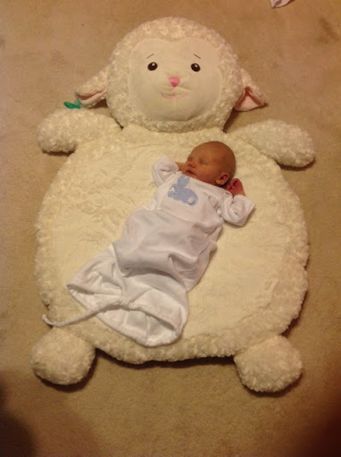 Judy Wilder Photo 12