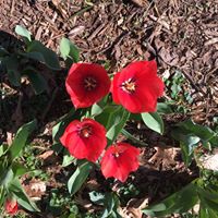 Kathleen Caudill Photo 4