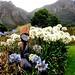 Thomas Mcewen Photo 23