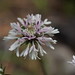 Kathy Mohr Photo 29
