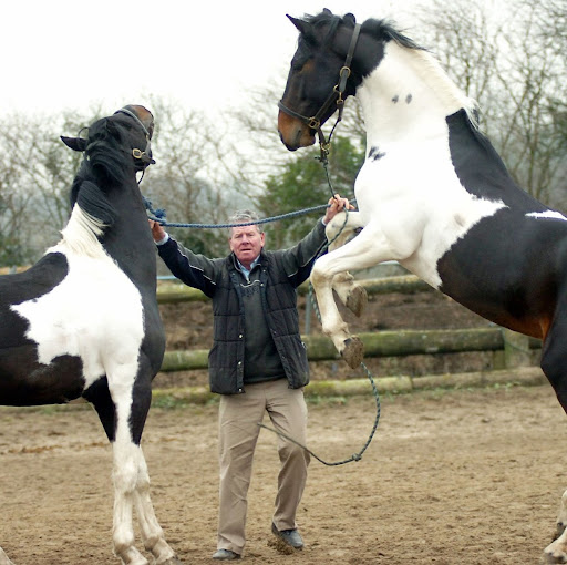 Karl Richards Photo 10