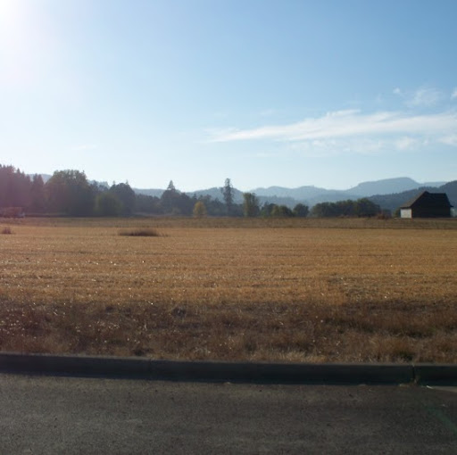 Lori Martin Photo 6 Lori Martin Photo 6