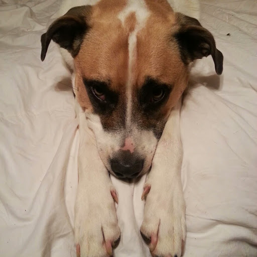 Staci Monroe Photo 17