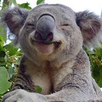 Charlene Weir Photo 5