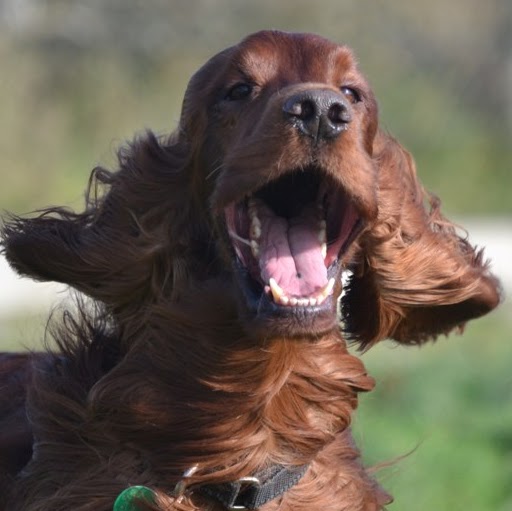 Rita Wilson Photo 39