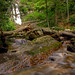 Tom Mcdowell Photo 36