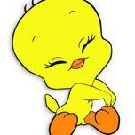 Debra Graber Photo 9