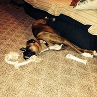 Marsha Holley Photo 9