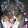 Lisa Sparks Photo 7