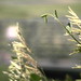 David Moreland Photo 10