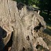 Jane Stump Photo 13