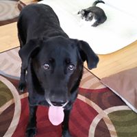 Suzanne Morse Photo 17