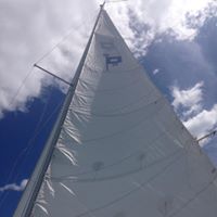 Nancy Holden Photo 5