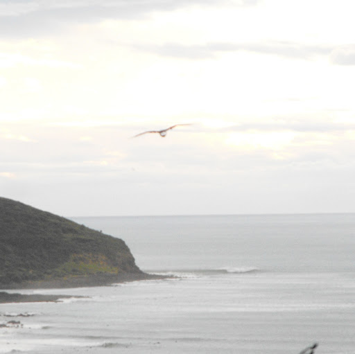 Christine Steiner Photo 31