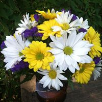 Kathryn Mccabe Photo 3