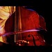 Gregory Haas Photo 4