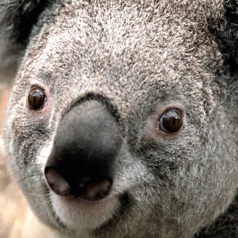 Clark Simon Photo 30