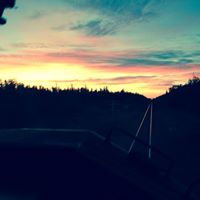 Nicholas Morton Photo 38