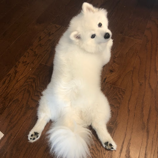 Stephen Altieri Photo 6