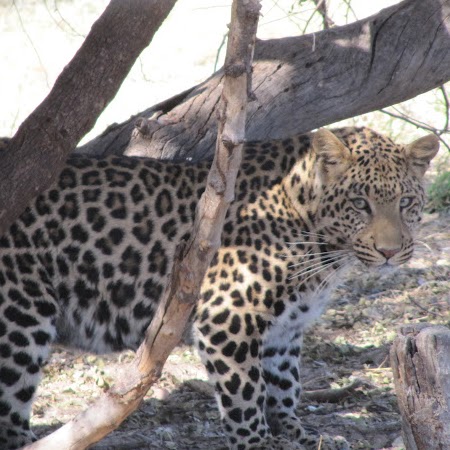 Beverly Mckinney Photo 22