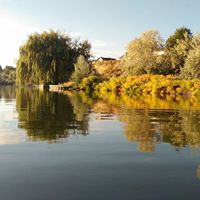 Betty Rasmussen Photo 25