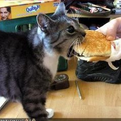 Stephanie Kluck Photo 6