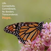 Cindy Watts Photo 26