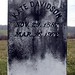 Kate Davidson Photo 35