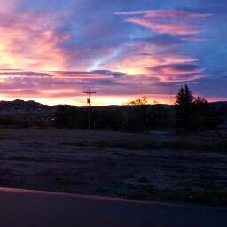 Rachel Hoffman Photo 8