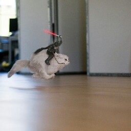 Katherine Best Photo 22