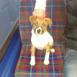 Jane Lawson Photo 12