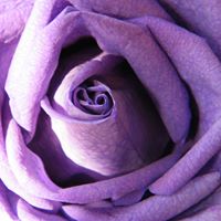 Diana Summers Photo 12