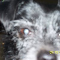 Richard Ross Photo 53 Richard Ross Photo 53