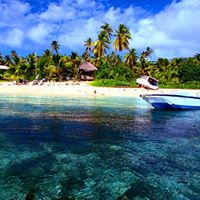 Steve Karas Photo 22