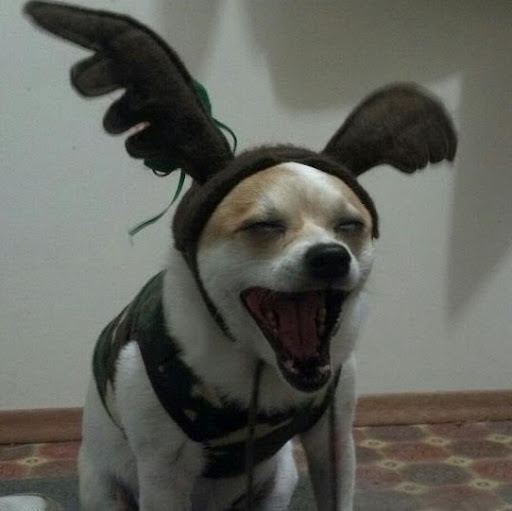 Jeff Ricketts Photo 26