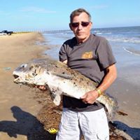 Eugene Scott Photo 43 Eugene Scott Photo 43