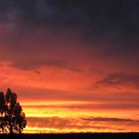 Henry Howell Photo 20