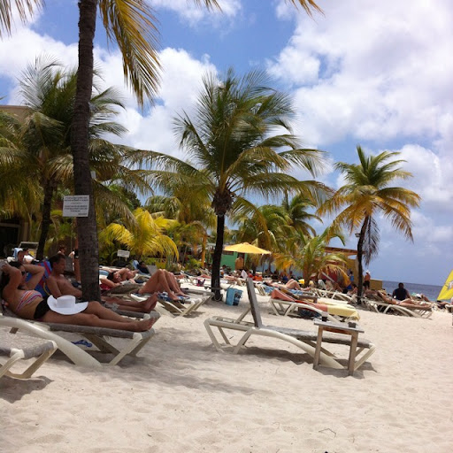 William Dodd Photo 12 William Dodd Photo 12