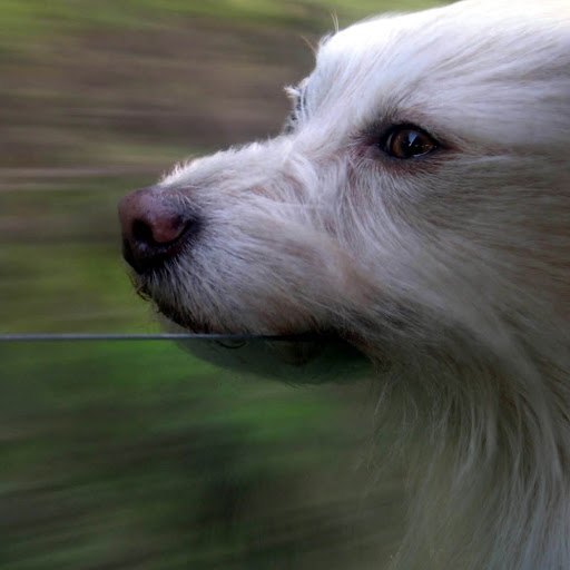 Erin Stevenson Photo 15