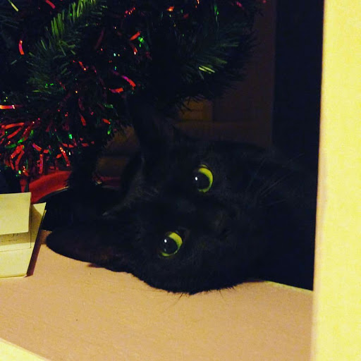 Holly Woods Photo 18