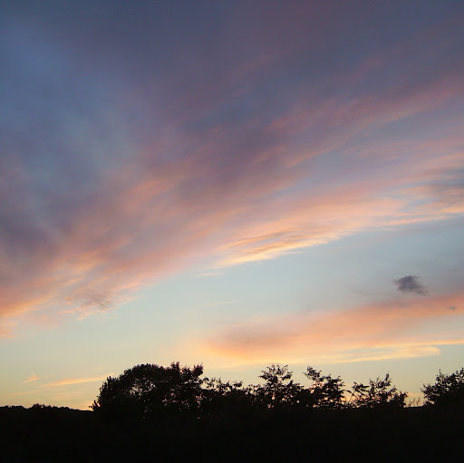 Cassandra Hanson Photo 13