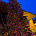 Gerald Grams Photo 14