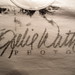 Julie Watts Photo 28