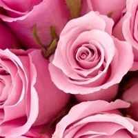 Kristina Clifford Photo 9