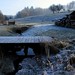 Dawn Brooks Photo 9