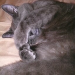 Stacy Horton Photo 8