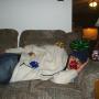 Stephan Johnson Photo 39