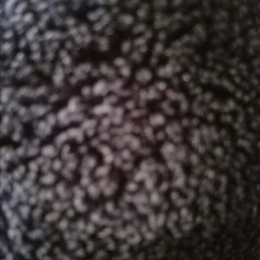 Latasha Richardson Photo 8