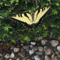 Vanessa Power Photo 7